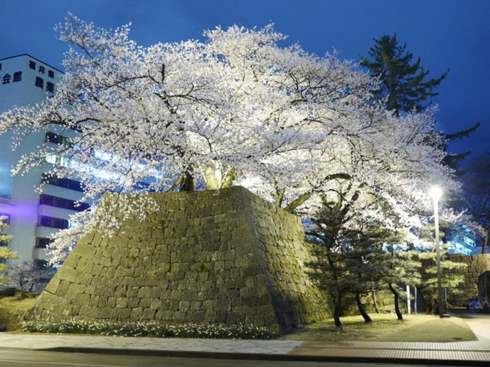 Hotel Fukui Castle - Vacation Stay 58696V Экстерьер фото