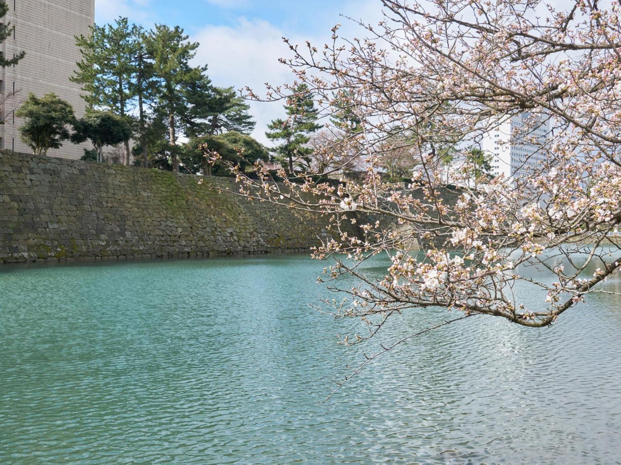 Hotel Fukui Castle - Vacation Stay 58696V Экстерьер фото